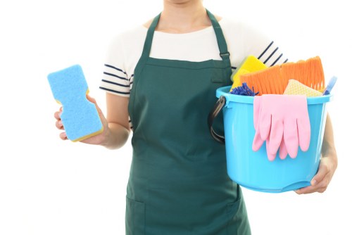 Local pet stain and odour removal service for a carpeted home in Merton
