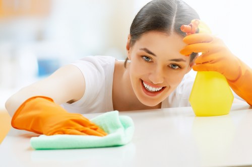 Local oven cleaning for a flat or family home in Merton