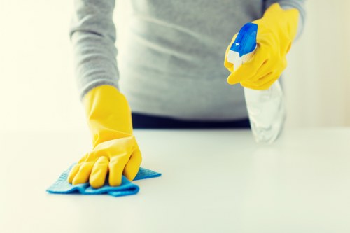 Deep carpet cleaning equipment used in a Merton property